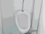 Sanitärmodul 10 Fuß – Bild 4